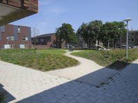 907841 Gezicht op het onlangs aangelegde 'pocketpark' bij de nieuwbouwwoningen in het project 'De Binnenhof' aan de ...